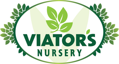 Viators Nursery Launching Online Soon — Plants and Bonsai